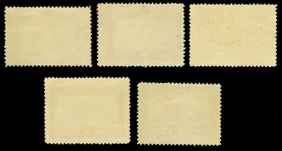 PARAGUAY 1922 Palacio de Gobierno "Gobierno Constitucional" sellos SIN EMITIR MNH Foto 2 de 2