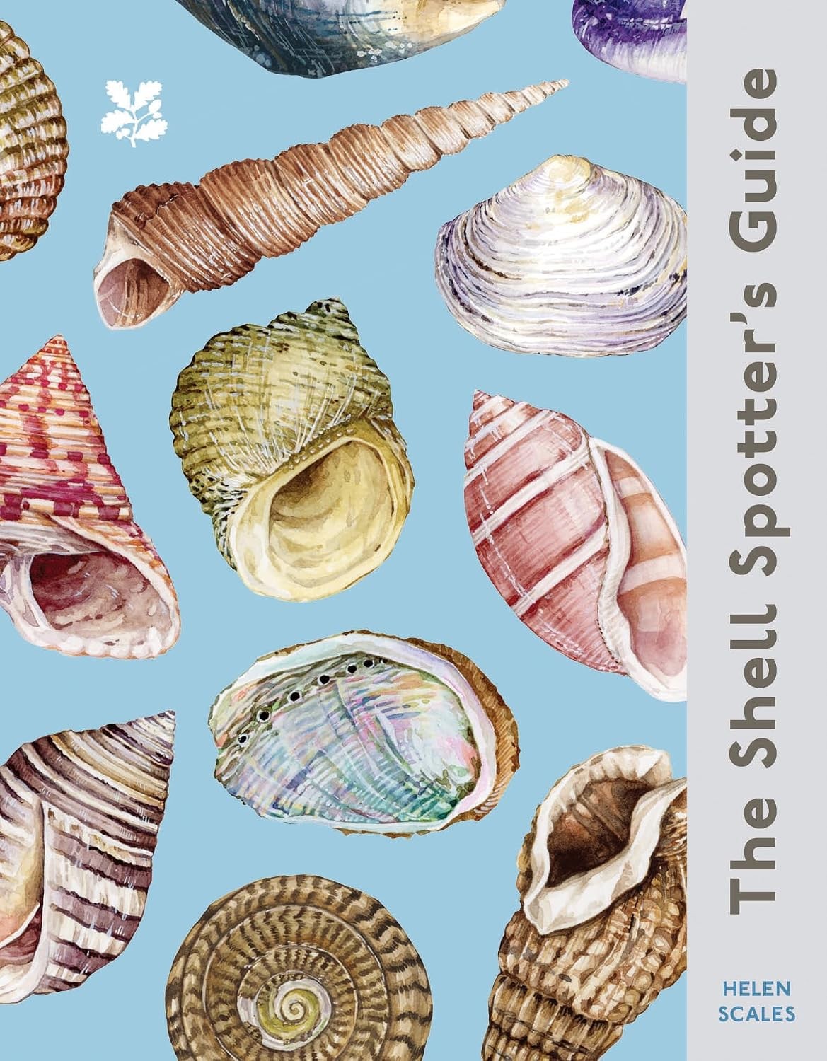 The Shell Spotter’s Guide: Every shell has a story to tell. Discover the secrets of these treasures of the sea (National Trust) - Image 9