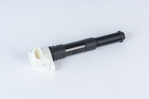 ZüNdspule Borgwarner (Beru) ZSE219 12V FüR Fiat Punto EVO 16V 199AXW1A Multi Air-image