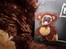 TEDDY BEAR dog costume pet Bootique Petco halloween XS S M L XL cat new