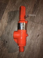 Taylor Valve Tech Dresser   Safety Relief Valve 3/4 Trim 1"NPT 165PSI  PSV  PRV