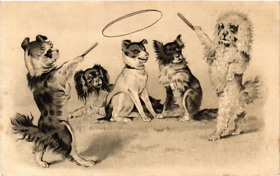 PC CPA HUNDE, KLEINE HUNDE WELPEN SPIELEN WIE MENSCHEN, VINTAGE POSTKARTE (b3553)
