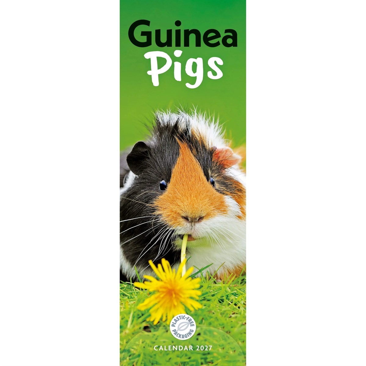 Guinea Pigs (PFP)Slim - Image 5
