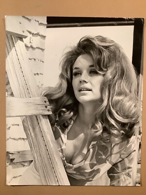 Risqué Las Vegas vixen dancer showgirl pinup photo Ann Adams  She Mob  1968