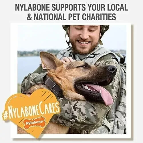 Nylabone Power Chew Ring Bone Chew Toy, Dog Toys for Aggressive Chewers, Flavor 