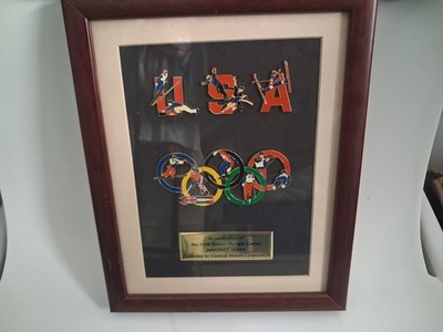 RARE 1998 Nagano Olympic Winter Games Framed Enameled Pin Set by GM Corporation
