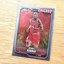 Click to enlarge Dennis Rodman