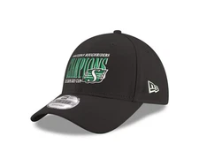 Saskatchewan Roughriders New 2025 Grey Cup Champions Black 9Forty Adjustable Hat