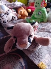 Ty Beanie Babies Çanyon The Cougar, Small Plush Soft Toy, With Tags