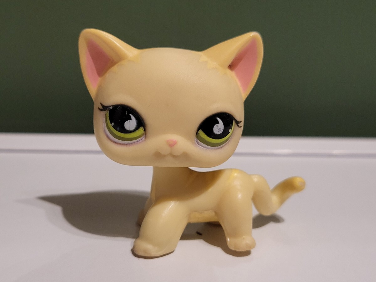 Littlest Petshop LPS chat europeen 72 cat european Authentic Shorthair Original : Achat occasion | Figurines Hasbro Bon état