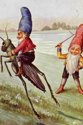 Elves On A Grasshopper Cartoon Fantasy Bugs Wall Art Home Decor - POSTER 20x30