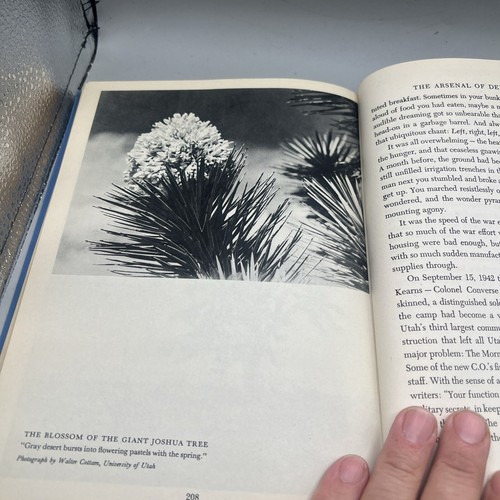 1945 1st ed. "This Is the Place Utah", by Maurine Whipple-(Mormon) HC - Picture 24 of 24