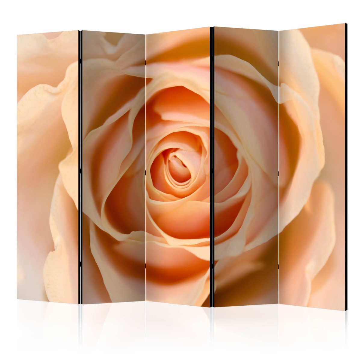 Paravent 5 volets 172x225cm pour cacher un bureau et séparer une pièce