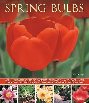 Spring Bulbs : An Illustrated Guide to Varieties, Cultivation and Care, with ...