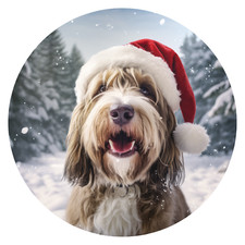 XXL Petit Basset Griffon Vendéen Autocollant Voiture Chiens Grand Sticker