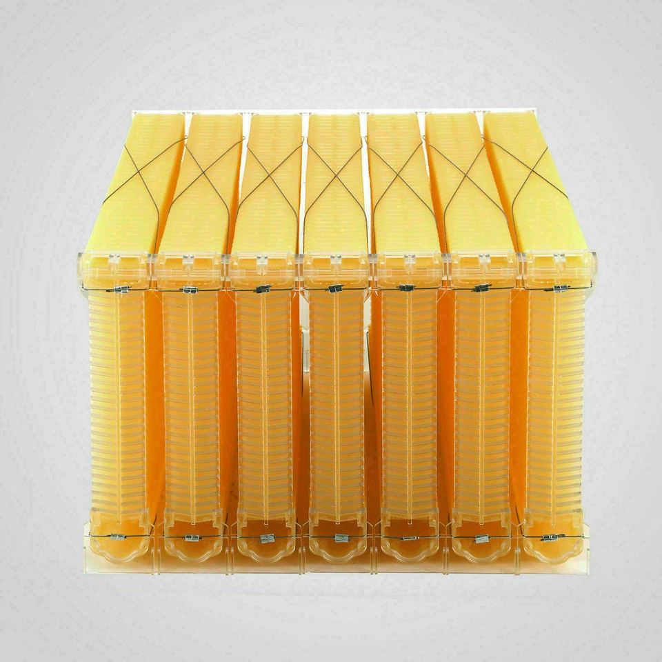 Upgraded 7pcs   Bee Comb Hive Frames For Wooden Beekeeping Beehive House - image 4 of 4