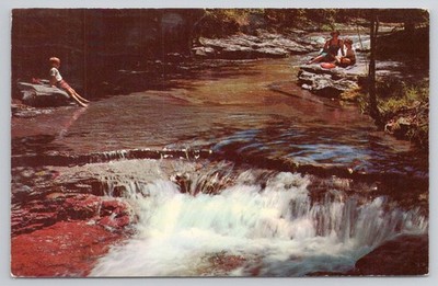 The Cascades Roundtop Catskill Mountains NY Vintage 1960s Postcard