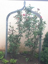 Metall Rosenbogen Rosen Bogen Krone m. Lilien Form Abschlüssen Pflanzhilfe