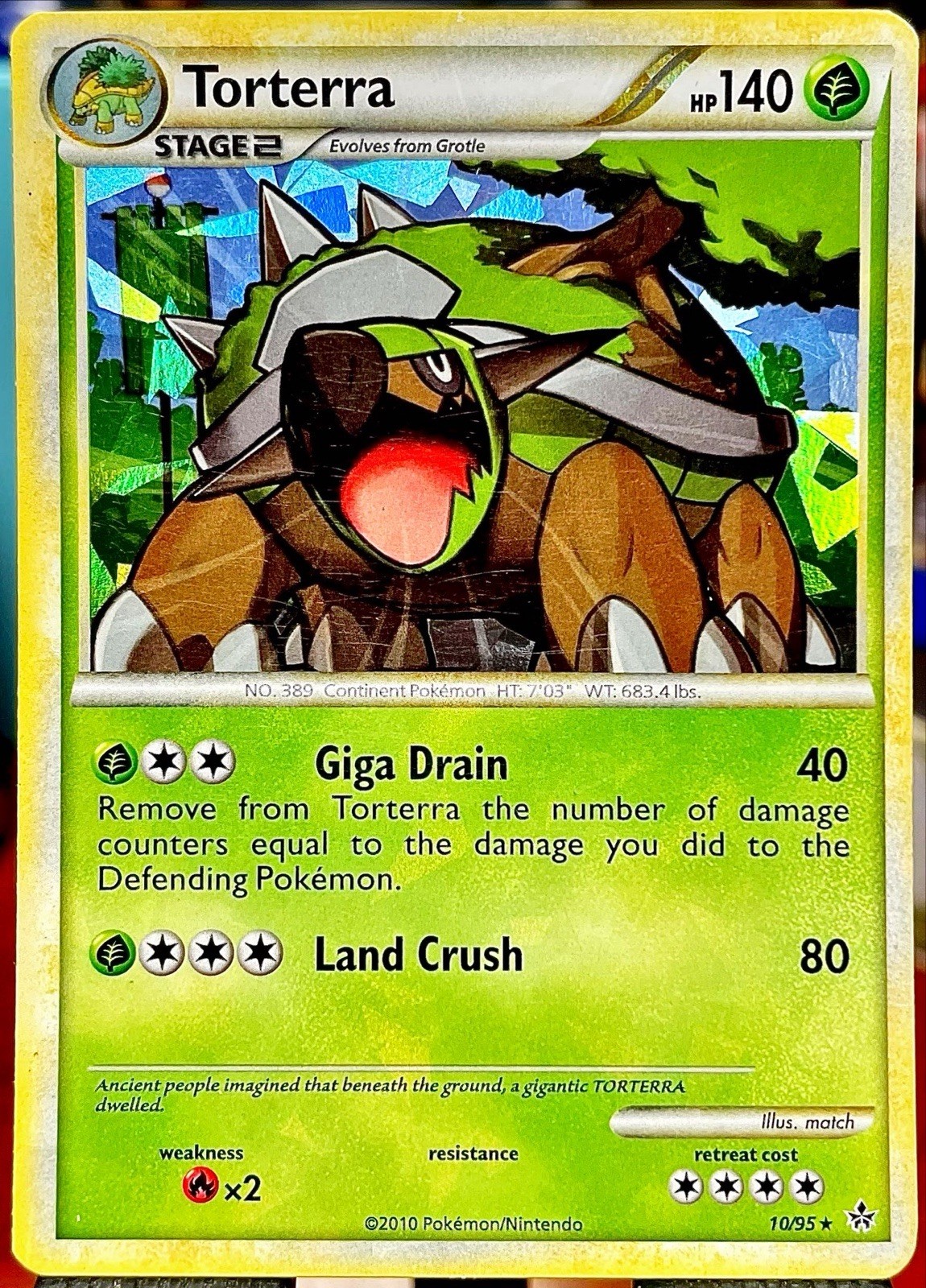 LITE BLEED ⭐️ Torterra 10/95 Cracked ICE Holo Rare TCG Pokémon - LP 🔥