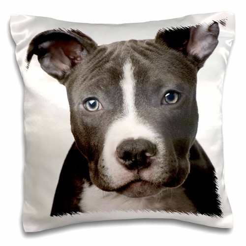 3dRose American Pit Bull Terrier Puppy 16x16 inch Pillow Case - 第 1/1 張圖片
