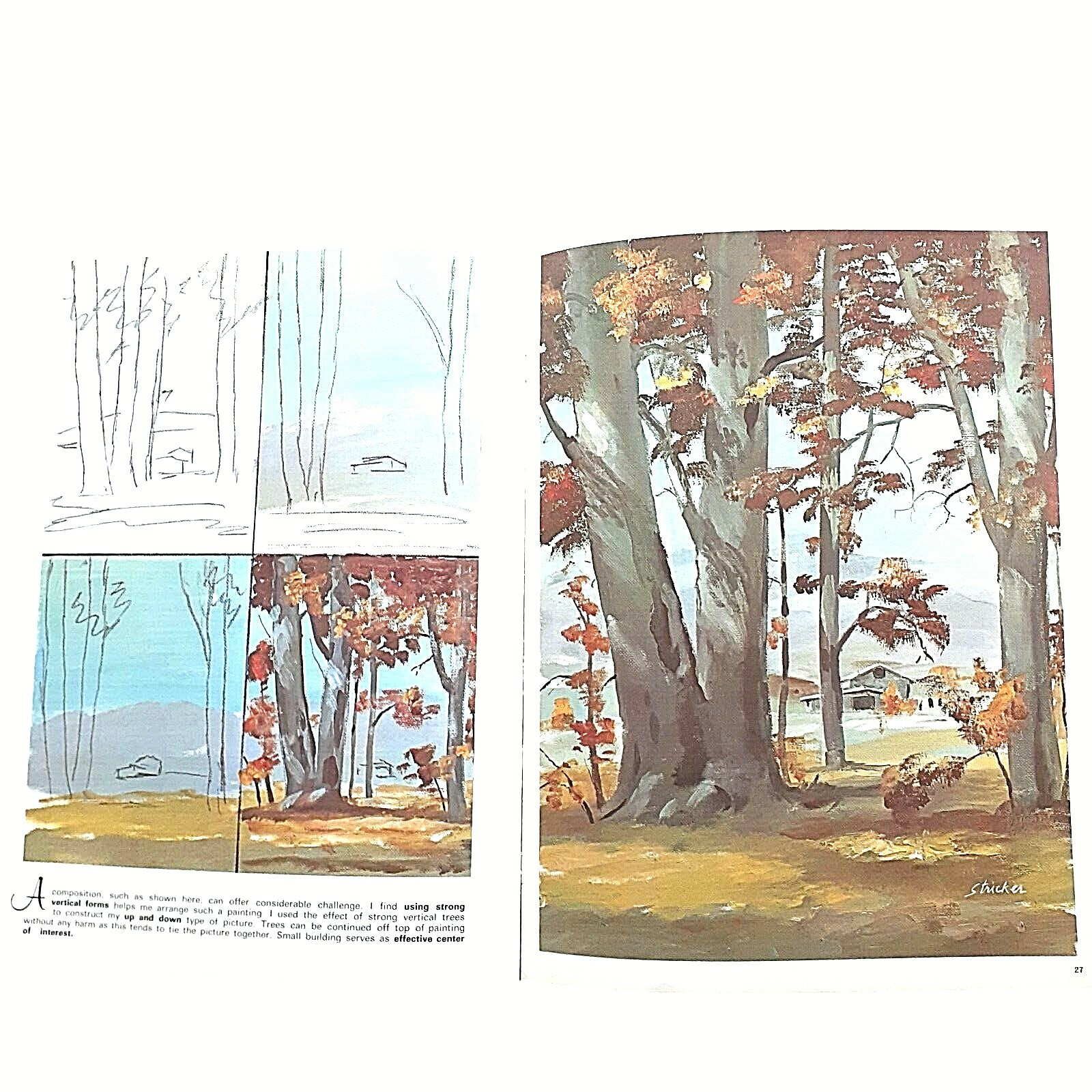 Picture 9 of 12