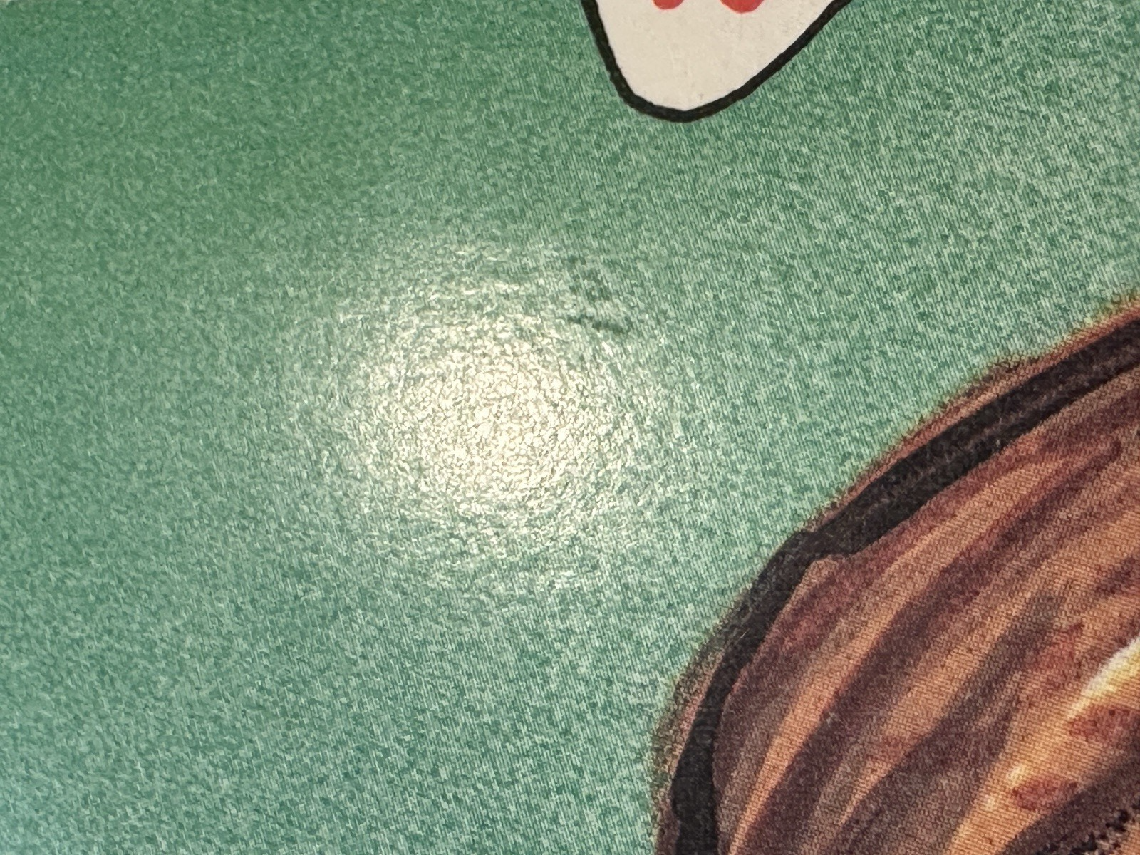 Picture 6 of 6