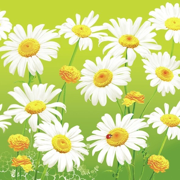 4 x Paper Napkins/33cm/3Ply/Decoupage/Assorted Daisies on Green