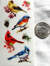 sticky pix stickers BIRDS realistic cardinal blue jay robin pine cone flowers