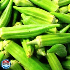100 Clemson Spineless Okra Seeds for Planting Non GMO Heirloom Seeds Fresh Ga