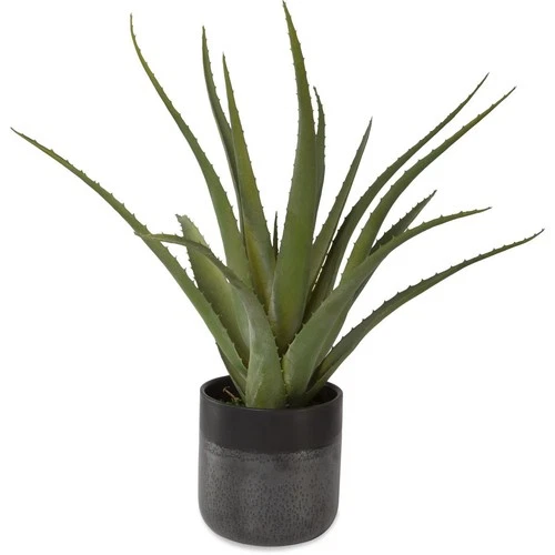 Uttermost 60204 Tucson Textured Matte and Gloss Glazes Aloe Planter - Picture 1 of 3