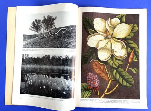 Revue Historique ATLANTIS 1943 N° 7 Images De Fleurs - Picture 3 of 5