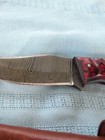 Damascus hunting knife w/ red Handle — photo 3