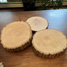 Lot of 3 Round Wood Slice Rounds, Unfinished Natural Bark Edge