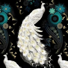 Michael Miller - Magnificent Peacock - Peacock Dance - Black, Fabric BTY