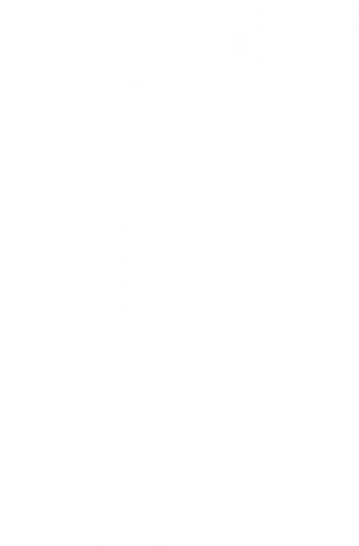 Long Afterglow Phosphorescent Materials 3898