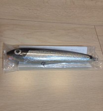 Carpenter GT-Gamma 160 Diablo Hard Lure, Fishing, Topwater, Unused