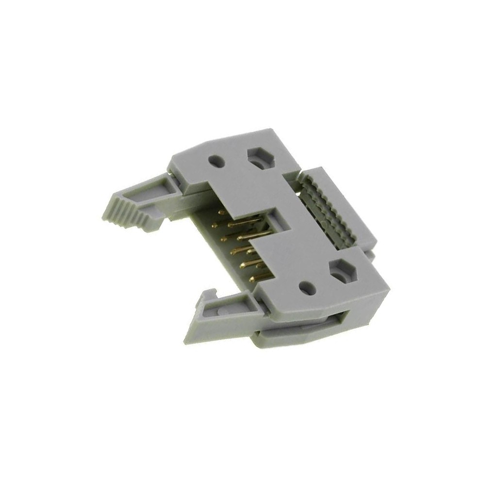 2 connettori DS1012-10LN0A: connettore IDC maschio PIN: 10 3A 125V IDC 2x5 C