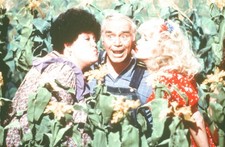 LMP79-098 1970s Sitcom Hee Haw Ernest Borgnine Misty Rowe Orig 35mm COLOR SLIDE
