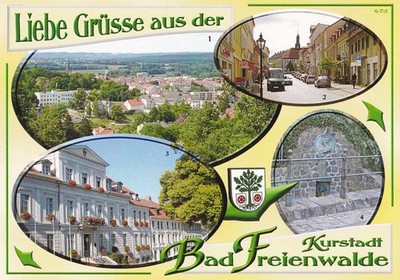 AK - (D) - Bad Freienwalde - Königstraße - view from Galgenberg - excellent condition