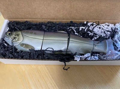Immortal Trout Mid-floating Lure Free Shipping DDP