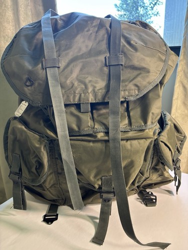 US Army ALICE Pack, Large (custom) - Men | Color: Olive