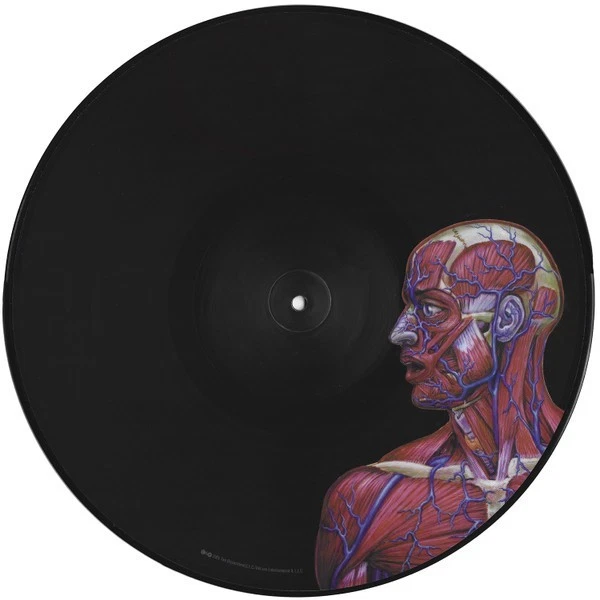 NEW SEALED Tool Lateralus Vinyl 2xLP Full Color Picture Disk Limited Edition LE - Image 4 of 4