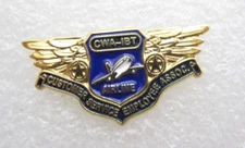 CWA IBT Customer Service Employee Assoc. Airline Lapel Pin (D566)
