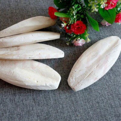 20pc Long 3.94'' Cuttlebone Cuttlefish Bone Sepia Cuttle Fish Bird Food Calcium