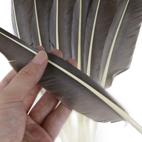 50-200pcs Goose Feather 25-30Cm Plumes Wedding Handwork Decor Feather For Crafts - Afbeelding 1 van 23