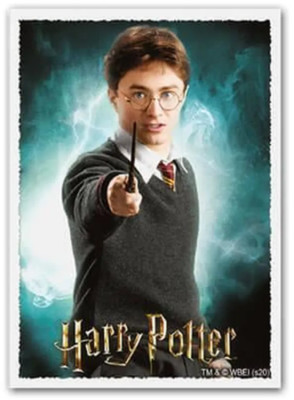 1 Hülle Harry Potter | Wizarding World Dragon Shield Matte Art Sleeve