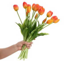 15 Pcs Orange Tulips Artificial Flowers Faux Tulips Real Touch Latex Fake Flo...