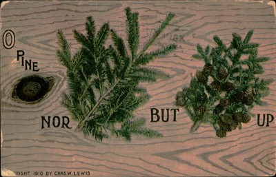 Postcard: 0 PINE BUT NOR UP RIGHT 1910 BY CHAS.W. LEWIS