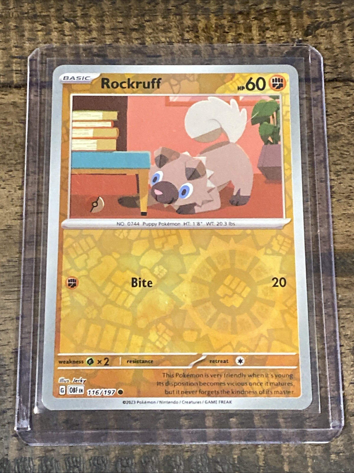 Picture 1 of 1