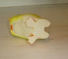 Bild 6 von 6